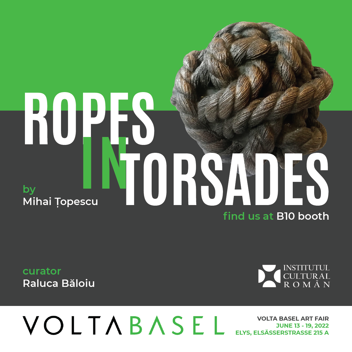 Mihai Topescu la Volta Basel