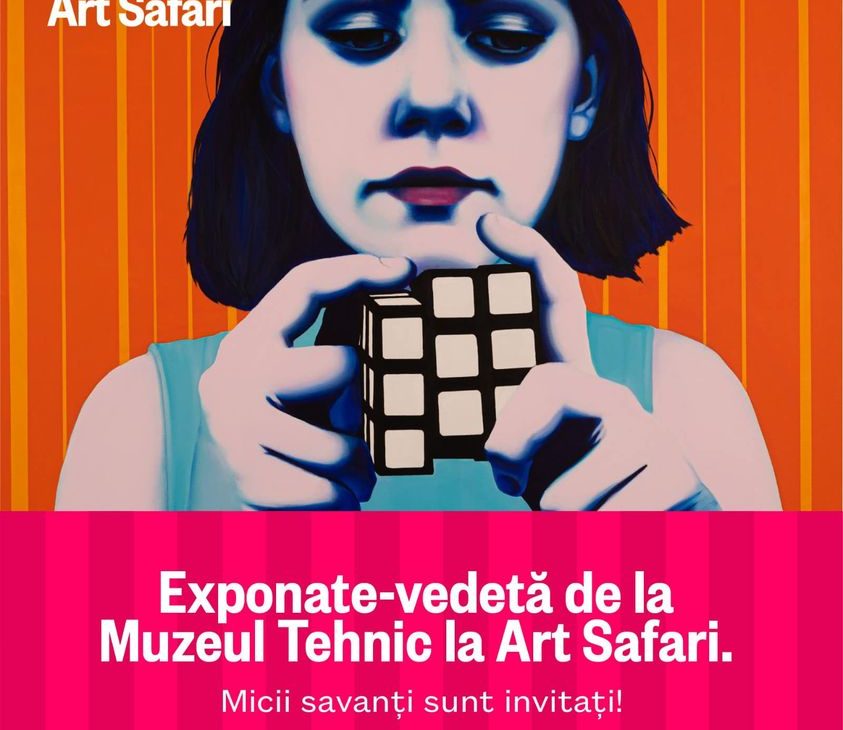 Art Safari si Muzeul Tehnic