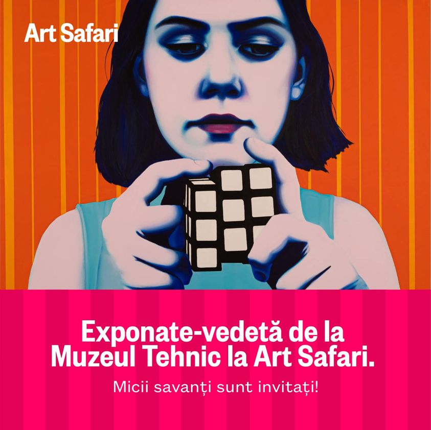 Art Safari si Muzeul Tehnic