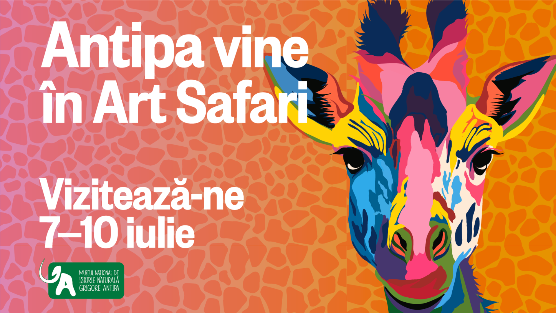 Antipa-la-Art-Safari